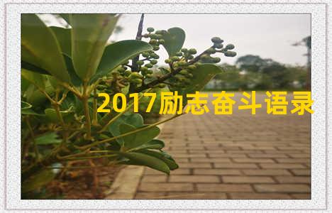 2017励志奋斗语录