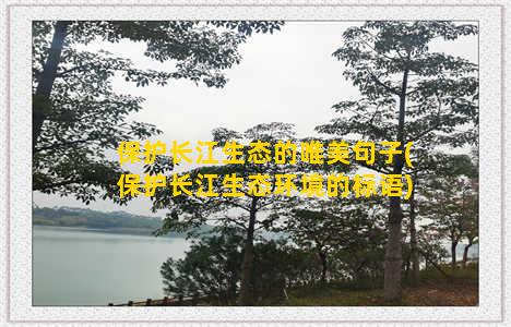 保护长江生态的唯美句子(保护长江生态环境的标语)