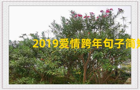 2019爱情跨年句子简短