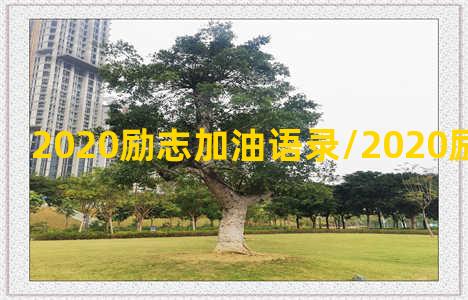 2020励志加油语录/2020励志加油语录