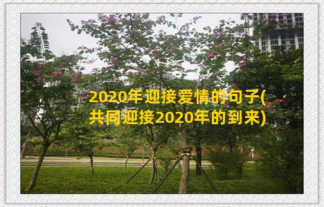 2020年迎接爱情的句子(共同迎接2020年的到来)