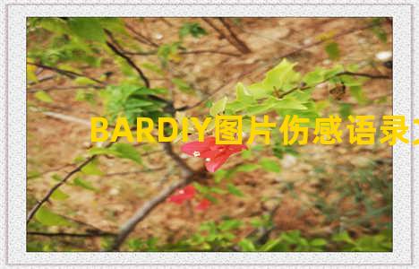 BARDIY图片伤感语录文案