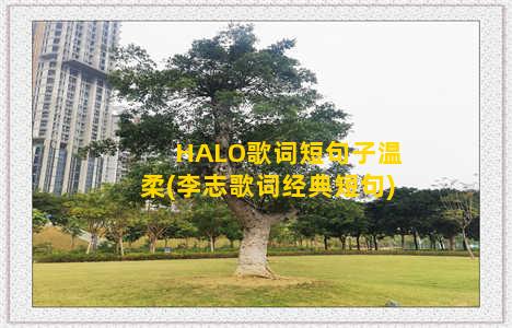 HALO歌词短句子温柔(李志歌词经典短句)