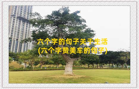 六个字的句子关于生活(六个字赞美车的句子)