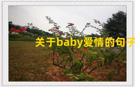 关于baby爱情的句子