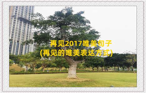 再见2017唯美句子(再见的唯美表达方式)