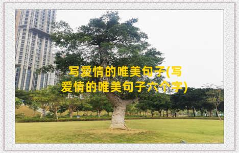 写爱情的唯美句子(写爱情的唯美句子六个字)