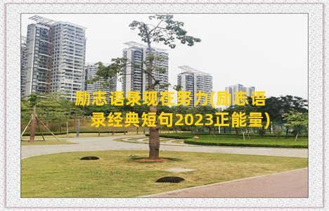 励志语录现在努力(励志语录经典短句2023正能量)