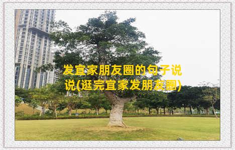 发宜家朋友圈的句子说说(逛完宜家发朋友圈)