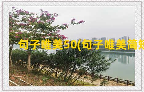 句子唯美50(句子唯美简短10字)