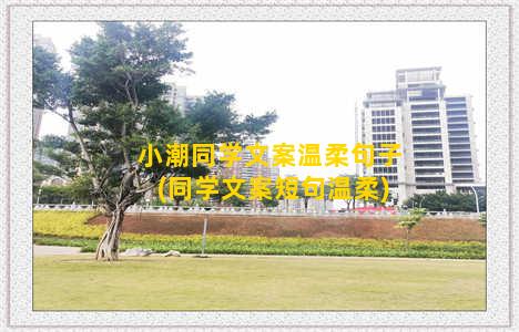 小潮同学文案温柔句子(同学文案短句温柔)