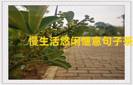 慢生活悠闲惬意句子茶