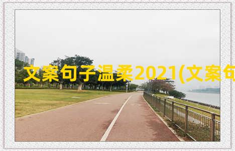 文案句子温柔2021(文案句子暗恋)